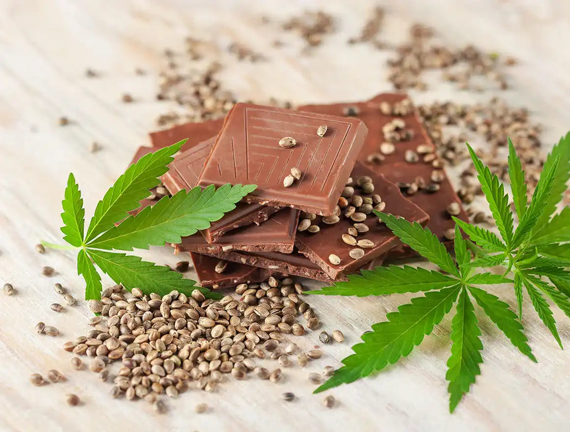 Chocolate squares with hemp seeds and leaves.