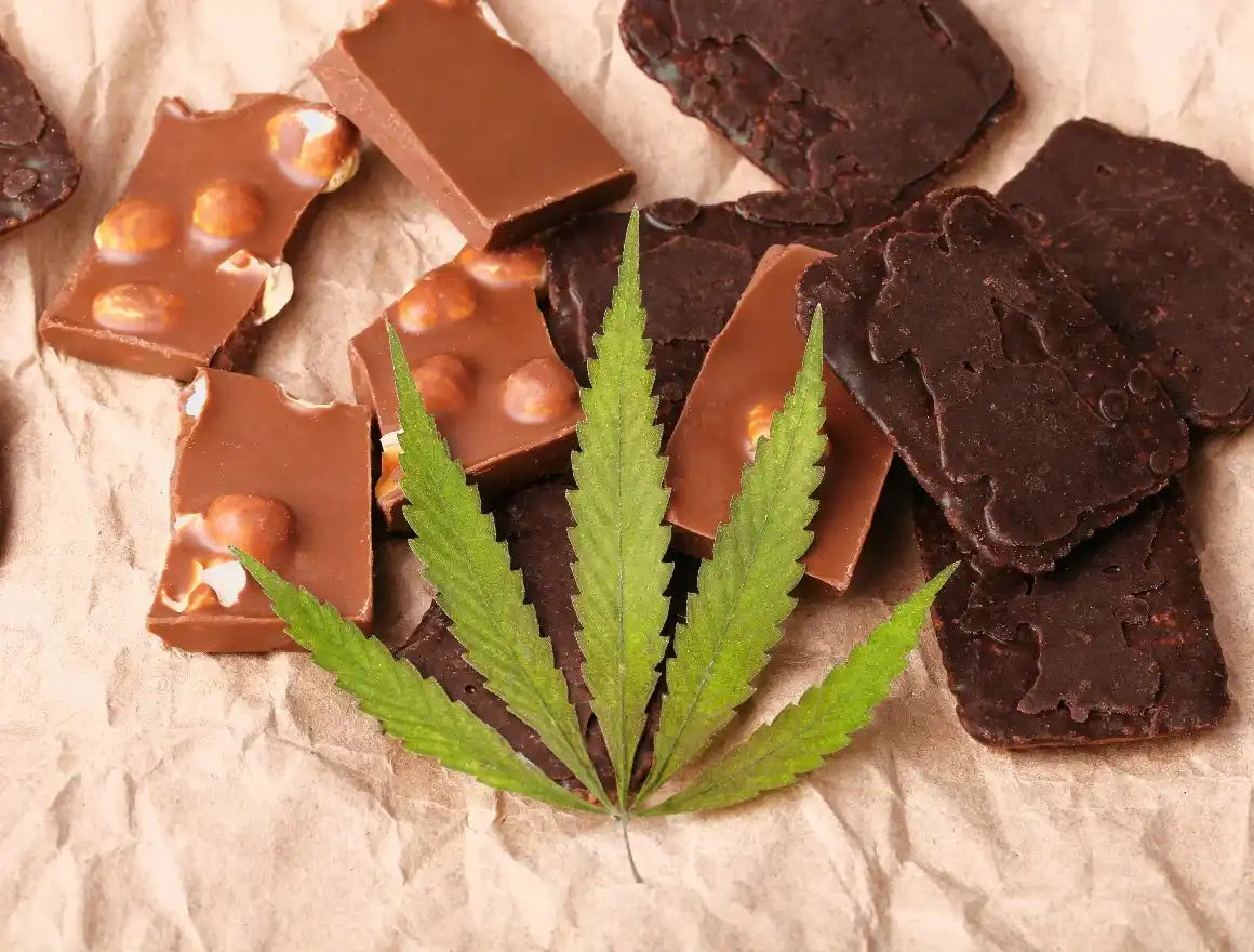 Cannabis-infused chocolate edibles.